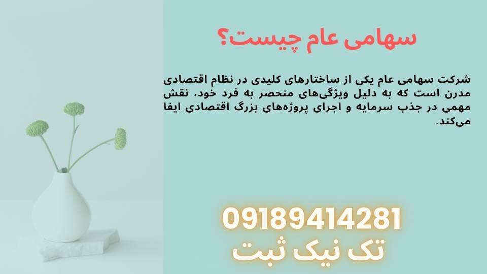 سهامی عام چیست؟